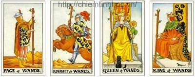 Học bói bài Tarot - Lá Bài Hội Đồng (Court Cards)